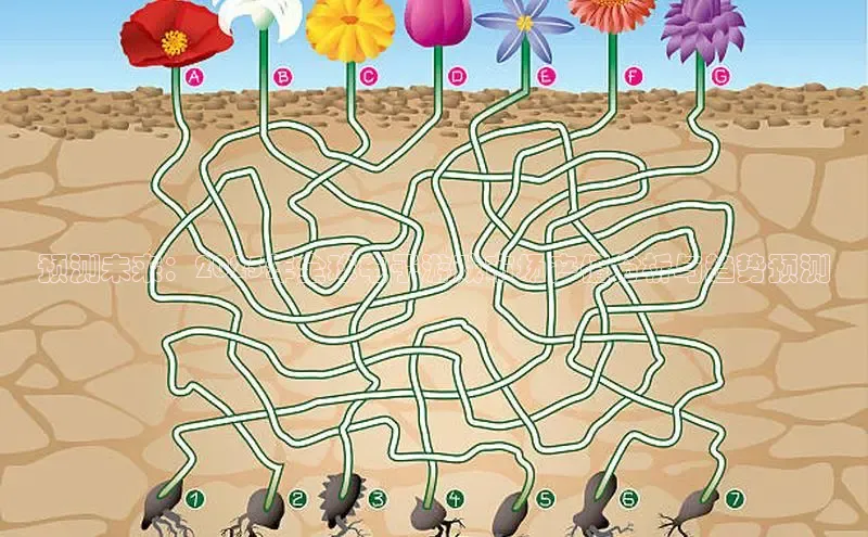 天富网站-注册通道